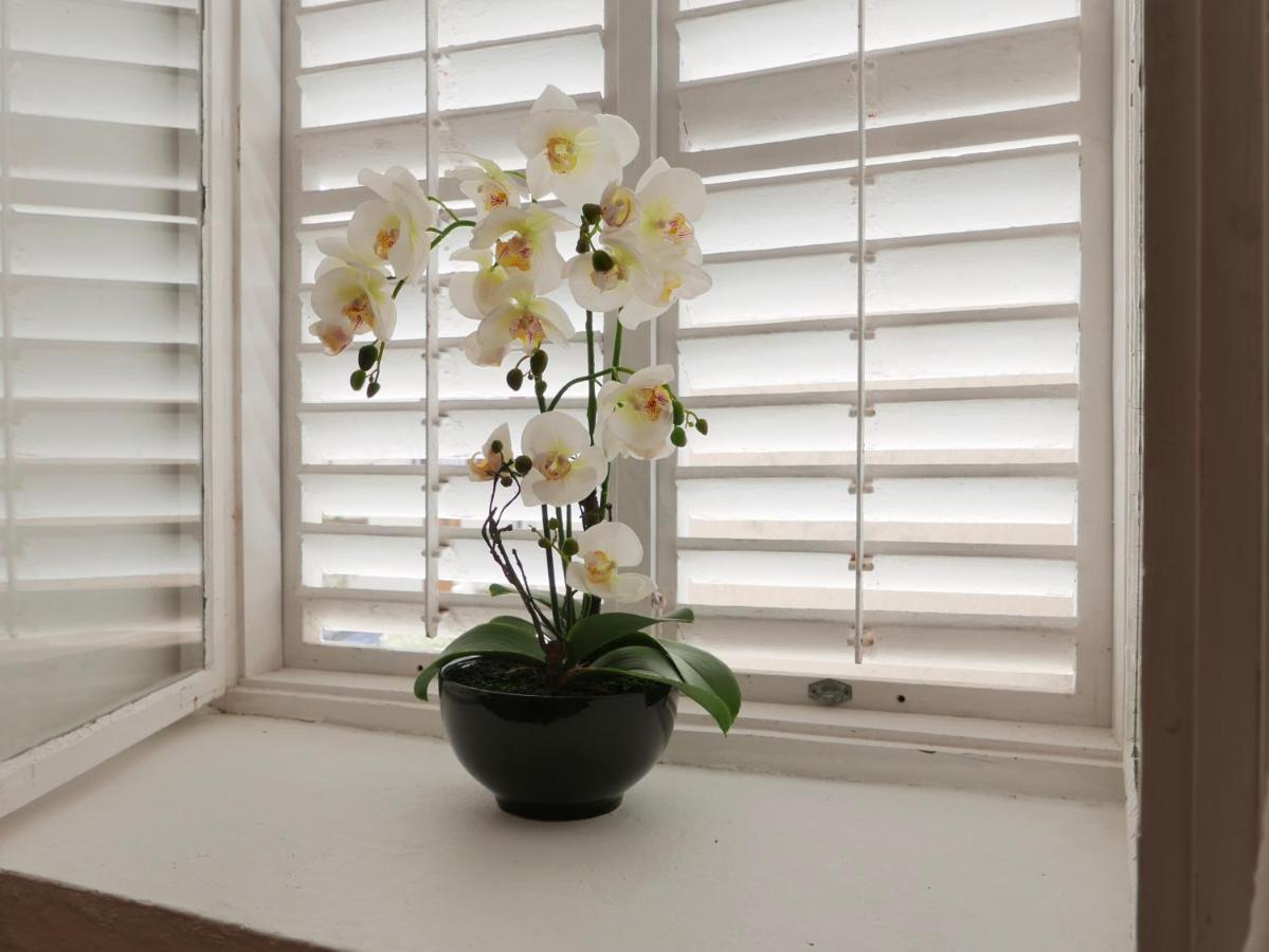 Potocina 21 Apartment เวอร์บนิค ภายนอก รูปภาพ